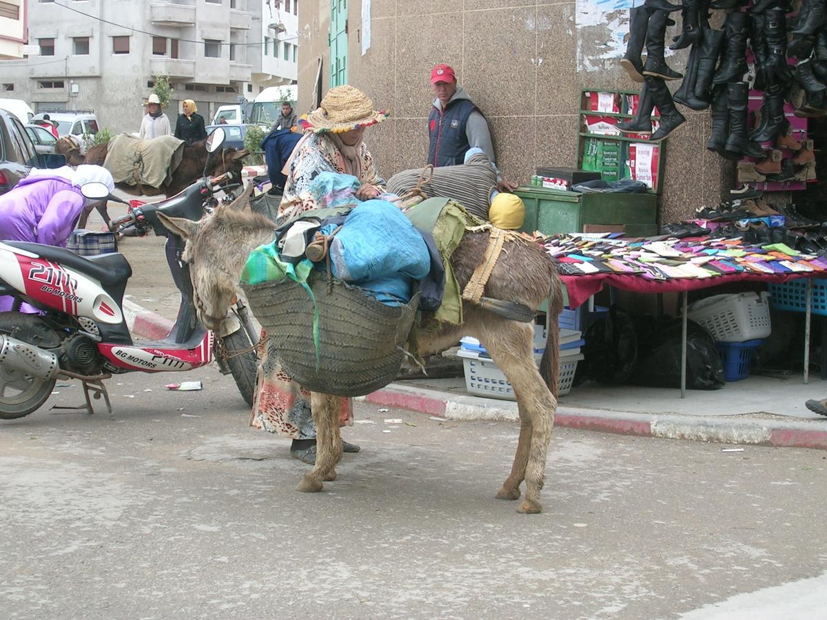 Dar Es Salam-Alta Asilah Exterior foto